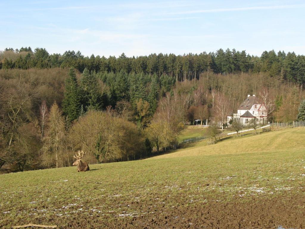 Waldhotel Forsthaus Remstecken 3*